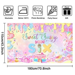 Mocsicka Donut 6th Birthday Banner Backdrop Sweet Sassy and Six Birthday Deco…