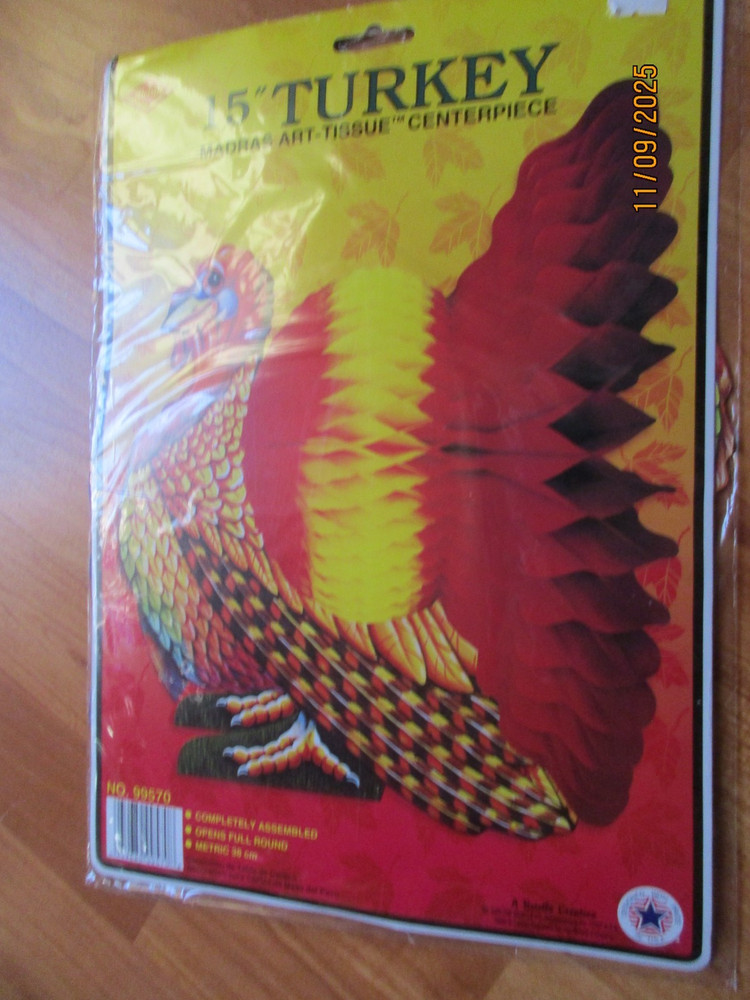 15″ Thanksgiving Turkey Honeycomb Decoration 2000 Beistle NOS