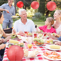 6 Pcs Red Gingham Picnic Party Decorations Kit 12 Inch Checkered round Paper Lan