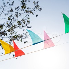 33 Feet 20 Flags Multi Colour Banner Bunting Party Event Home Garden Decoration