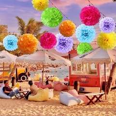 Rainbow Assorted Color Tissue Paper Flower Pom Poms Hanging Ball Decor