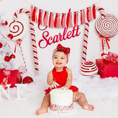 Red and White Gingham Fabric Banner – Checkered High Chair Banner Party Decorati