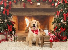 Lofaris Christmas Fireplace Backdrop Winter Xmas Tree Colorful 5x3ft, Gold
