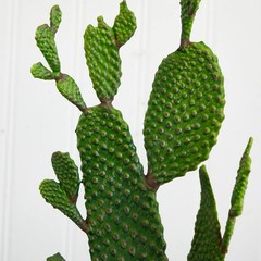 Nearly Natural 27in. Cactus Artificial Plant 6x11x27, Green