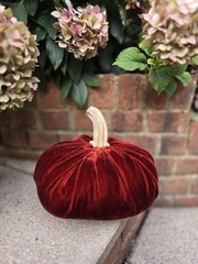 Forest Green Silk Velvet X-LARGE Pumpkin Rustic Farmhouse Wedding…