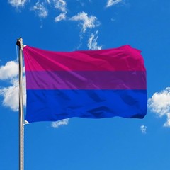PRIDE 3×5 FT Bi Bisexual Flag for LGBTQ+ Accessories Present Celebration Para…