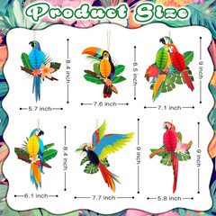 6 Pcs Tropical Birds Honeycombs, Parrot Honeycomb Decorations, Parrot Paper Cuto