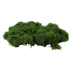 Natural 500g Artificial Moss for DIY Crafts Garden and Indoor Decoration