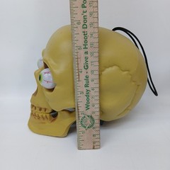 SKULL HEAD LIGHT UP EYES Halloween Prop Skeleton Tested, Eyes Change Colors