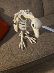 Halloween Skeleton VULTURE Buzzard Bird Animal Decorations crazy bones ,garden