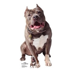 Number One Star Trek Picard Cardboard Cutout with Free Mini Dog Standee