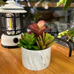 Karlliu Artificial Plants Cute Colourful Succulents in 4×4 inch, Colorful