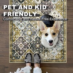KILOCOCO 2×3 Area Rug, Moroccan Super Soft Entryway Rugs Indoor Vintage Washa…