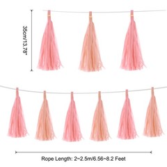 20 x Light Pink Peach Pink Tassel Garland Banner with Rope
