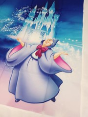 Cinderella Princess Birthday Party Supplies Party Backdrop Photo Background 5×3′