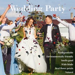 Red Rose Petals Eucalyptus Leaves Wedding Confetti 3 Quarts 30 Cups