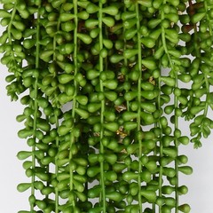 CLONG 3pcs Artificial Fake String of Pearls Plant Faux Succulents Dark Green