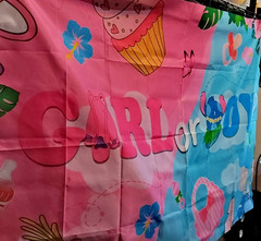 Gender Reveal Backdrop 5x3ft Girl or Boy Pink Blue Baby Shower Photo Prop NEW