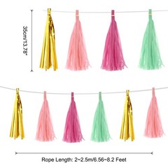 20Pcs Light Pink,Rose Red,Light Green Gold Tassel Garland Banner with Rope