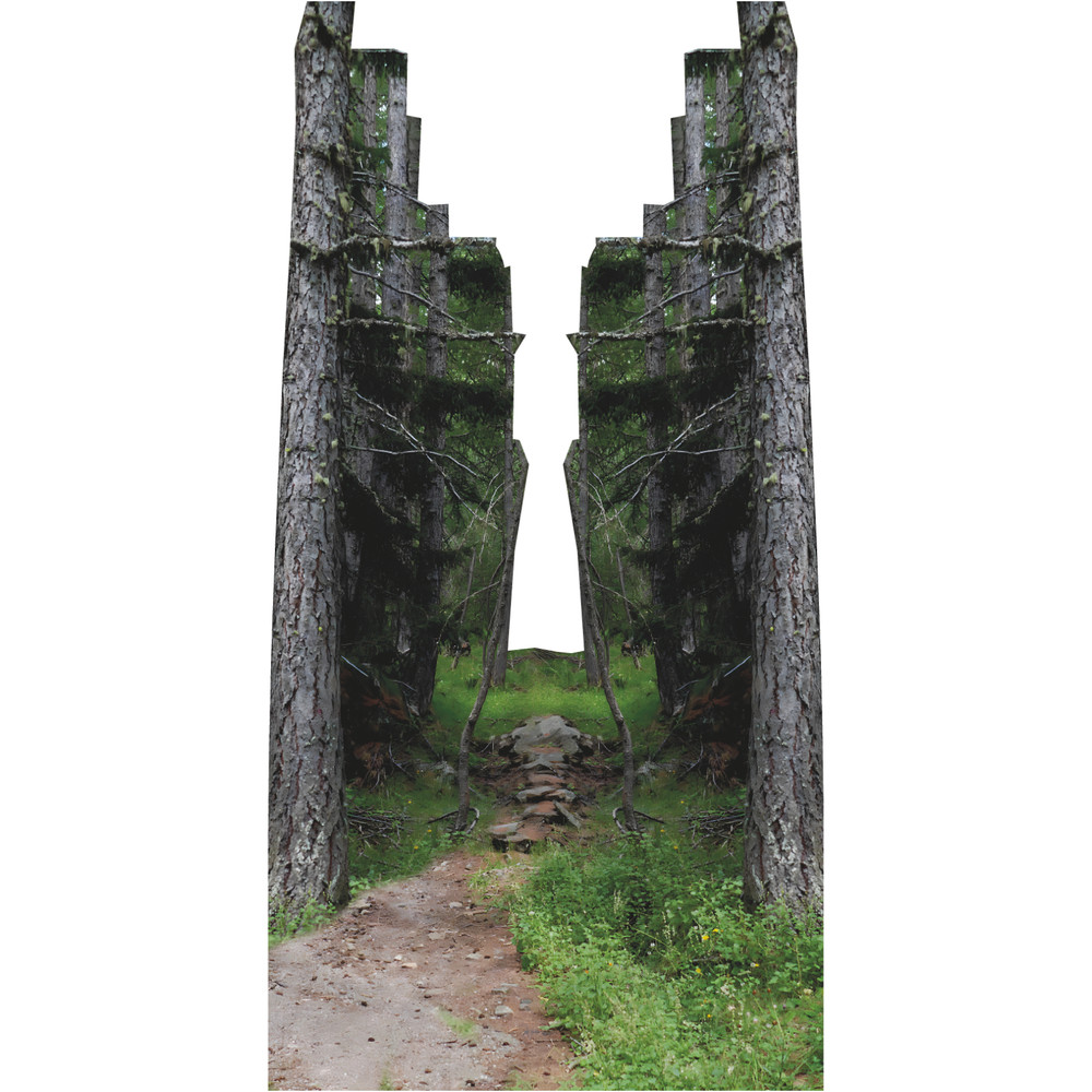 SP13458 Forest Trail Trees Nature Hike Backdrop Cardboard Cutout Standee Standup