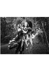 Halloween Animated Clown Hanging Talking Sound Moving Light Up Party Prop Decor
