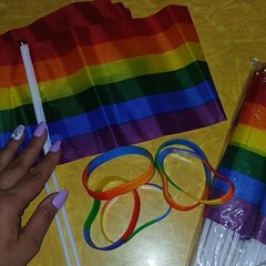 Rainbow Pride Parade Flags And Wristbands New In Package