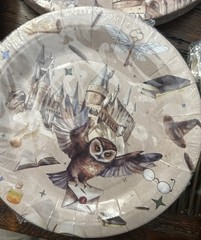 20 Guest Magical Wizard Birthday Party Supplies School Decorations Tableware