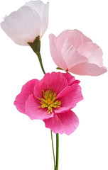 Pink Crepe Paper Poppy Bouquet Making Kit 24 Pcs DIY Craft Set for Home Decor &