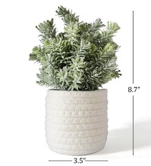Hopewood Small Artificial Plants Eucalyptus with a Weave Green Plant Style B