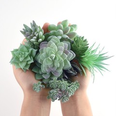 FEPITO 15 Pcs Artificial Succulent Plants Green Unpotted Faux 15Pcs,