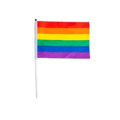 Wicked Costumes – Rainbow Flag on Stick – Party Decoration