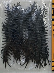 Fake Bugs Halloween Decoration Fake Bugs Plastic Black Centipedes 12 pcs