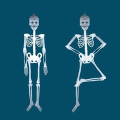 Halloween Luminous Human Skeleton Poseable Full Life Size Decoration Party Prop