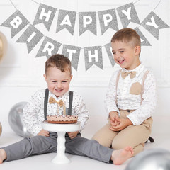 Silver Happy Birthday Banner Happy Birthday Sign for Backdrop Silver Birthday De