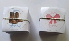 Gender Reveal Photo Props