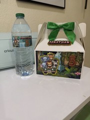 Kids Birthday Party Animal Theme Table Decorations, Favor Boxes & Bags, Cartoon