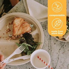 100% Compostable Disposable Paper Plates Bulk [10″ 3-Comp 50 Pack], Bamboo Pl…