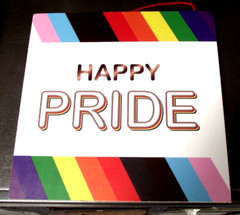 Pride Party Lot w/Permanent Wooden Wall Hanging Plates 2 Napkins 2 Banners #1