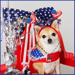 Complete Patriotic Celebration Kit: 92Pcs for Kids – Necklaces, Headbands & More