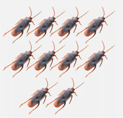 10Pcs Fake Roaches Realistic Plastic Roach Bugs Fake Cockroaches Insect USA