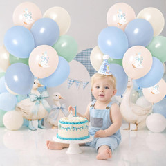 One Silly Goose Birthday Decor Balloons for Boy, 60PCS 12 Inch Pastel Blue Green