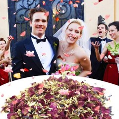Dried Flower Petals 12 Packs Biodegradable Confetti Real Rose Wedding Decor
