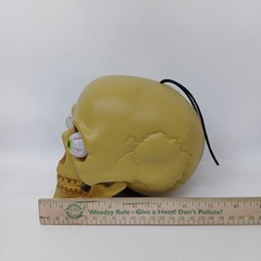 SKULL HEAD LIGHT UP EYES Halloween Prop Skeleton Tested, Eyes Change Colors