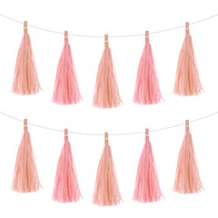 20 x Light Pink Peach Pink Tassel Garland Banner with Rope