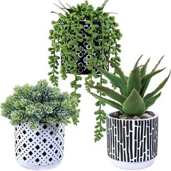 Winlyn 3 Pcs Small Potted Succulents 5.9″-7.4″ Wide and 7″-11″ Tall, Green