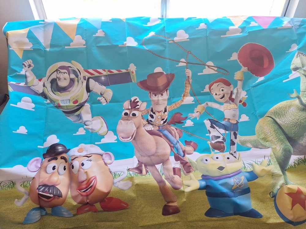 Toy Story Vinal Party Back Drop