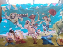 Toy Story Vinal Party Back Drop