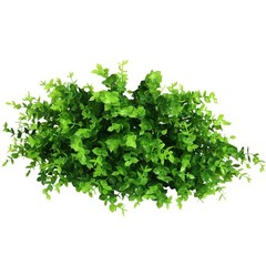 Besteek 9 Bundles Fake Plants Artificial Boxwood Greenery 63 9 Bundles, Green