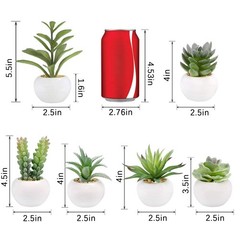 GREENTIME 6 2.5 inches (D) x (W) x 4.5 (H), Green-white Pot