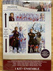 Disney FROZEN 2 II Scene Setter BIRTHDAY party wall poster backdrop Anna Elsa +
